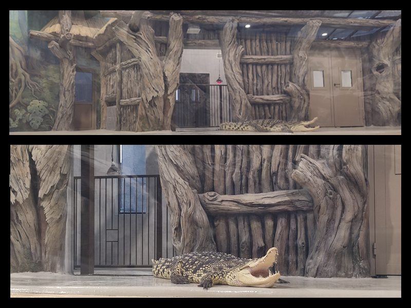 Kharkiv Zoo concrete sculpture art 09