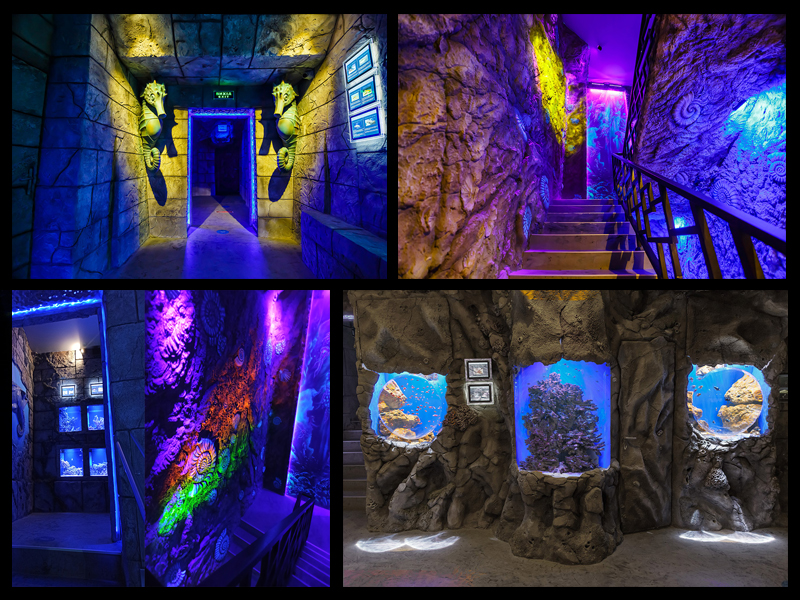 Aquarium Lviv City 02